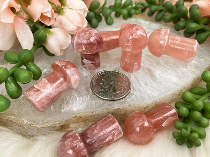 Calcite-Mushroom-Carving