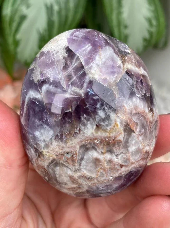 Chevron-Amethyst-Palm