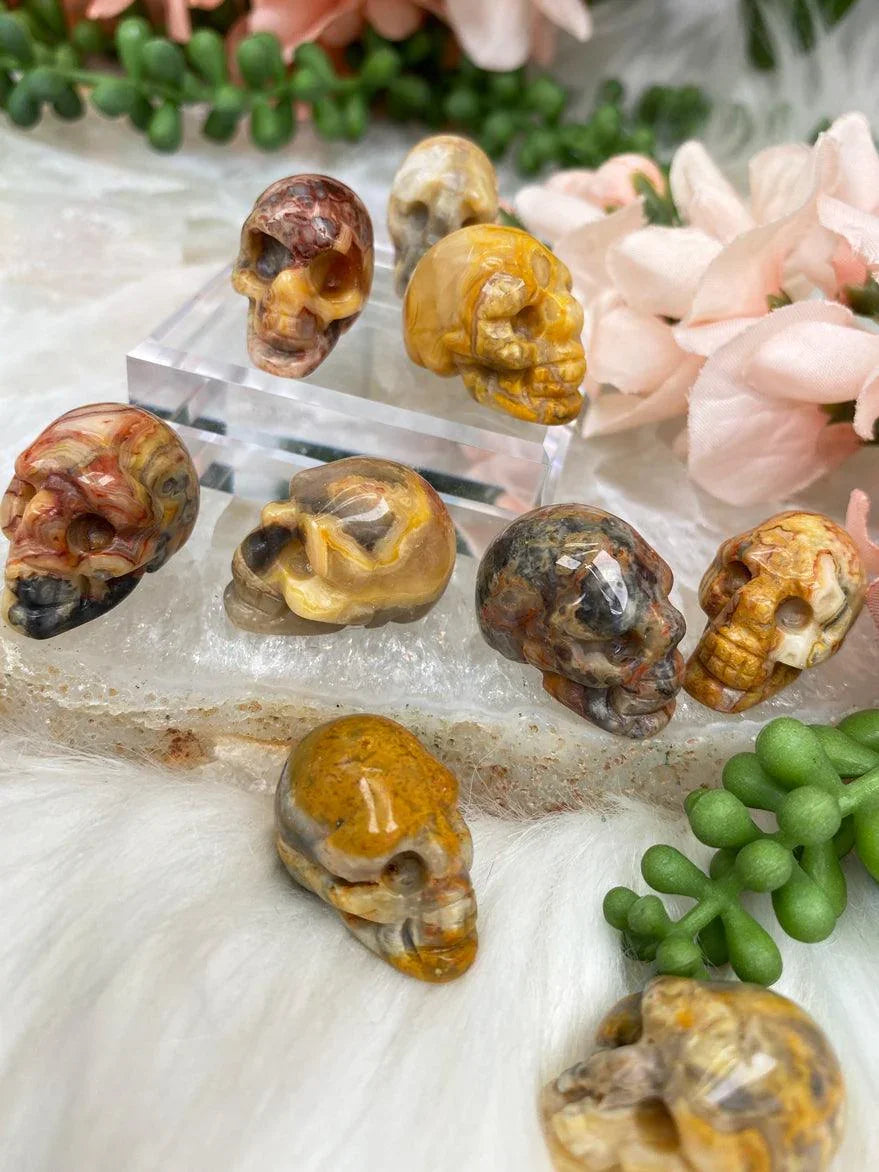 Crazy-Lace-Agate-Skull