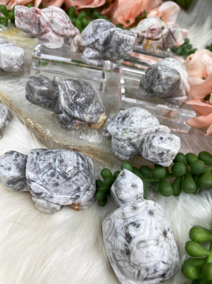 Crazy-Lace-Agate-Turtle-Carvigns
