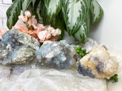 Cubic-Blue-Bingham-Fluorite-Crystal-Specimens