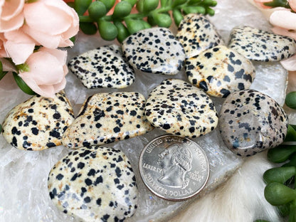Dalmatian Jasper