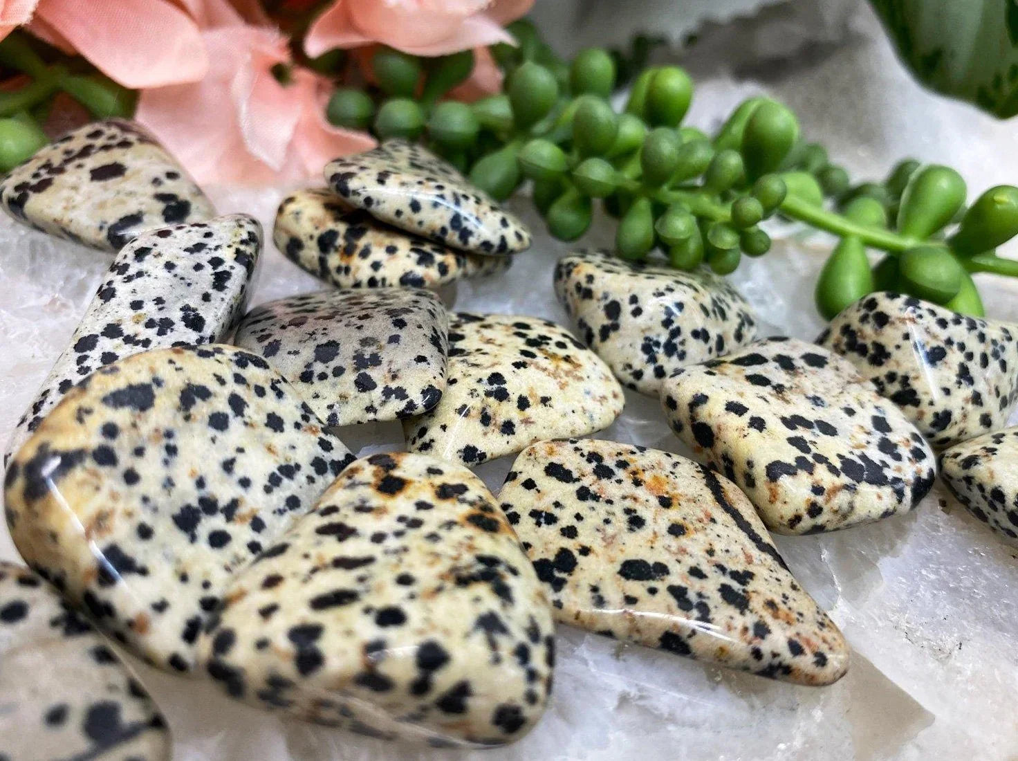 Tumbled-Black-White-Dalmatian-Stone-Crystals-for-Sale