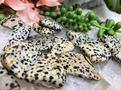 Tumbled-Black-White-Dalmatian-Stone-Crystals-for-Sale