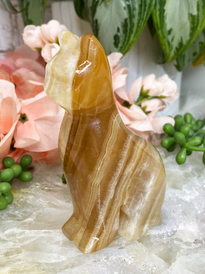 Dark-Orange-Onyx-Calcite-Carved-Crystal-Cat