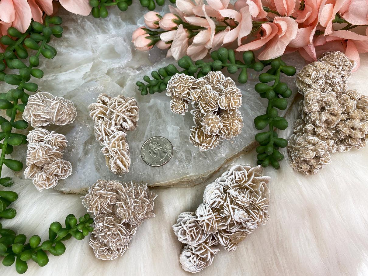 Desert-Rose-Gypsum-Rose