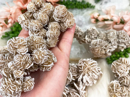 Desert-Rose-Selenite