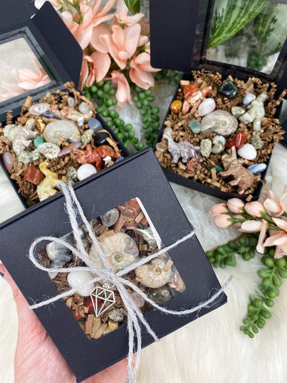 Dinosaur Crystal & Ammonite Gift Set