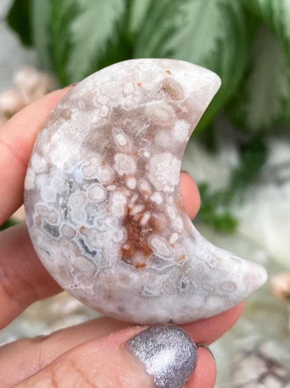Flower Agate Moons