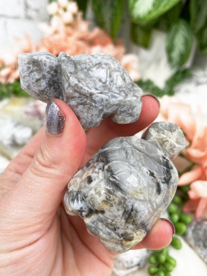 Crazy Lace Agate Turtle