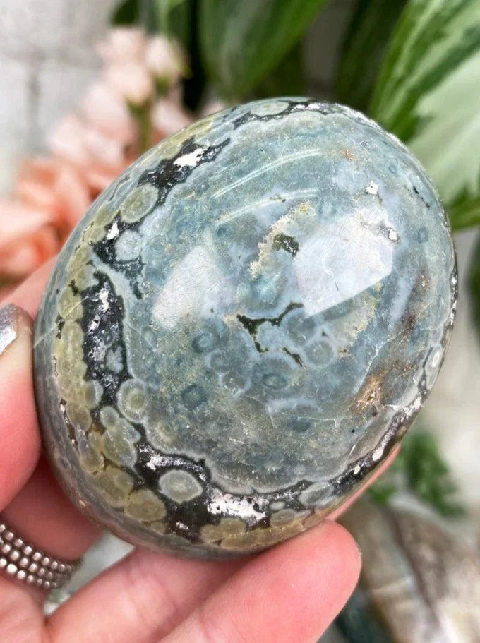 Gray-Green-Orbicular-Jasper