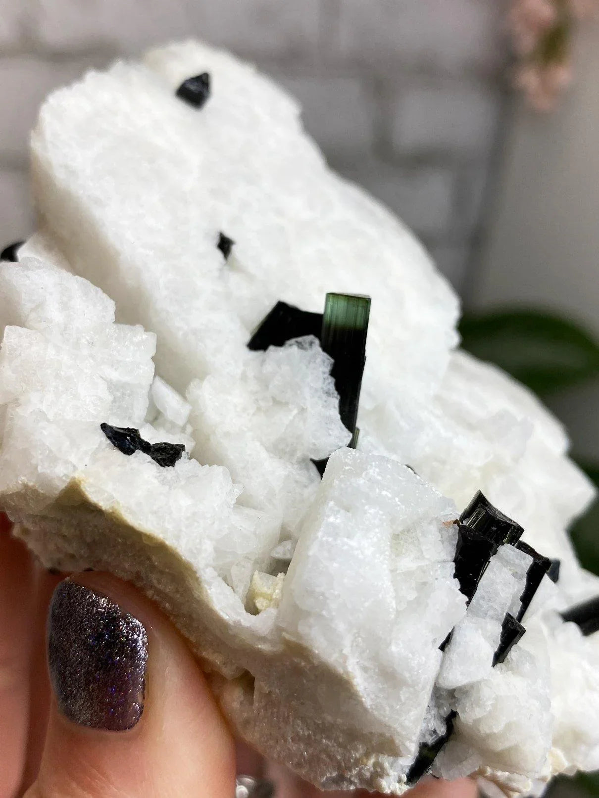 Green-Elbaite-Tourmaline-in-White-Albite-Crystal-Cluster-from-Astor-Pakistan