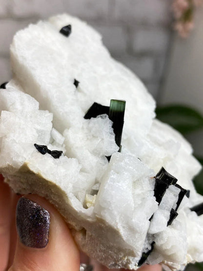 Green-Elbaite-Tourmaline-in-White-Albite-Crystal-Cluster-from-Astor-Pakistan