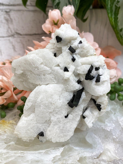 Green-Elbaite-Tourmaline-in-White-Albite-Crystal-Cluster-from-Astor-Pakistan