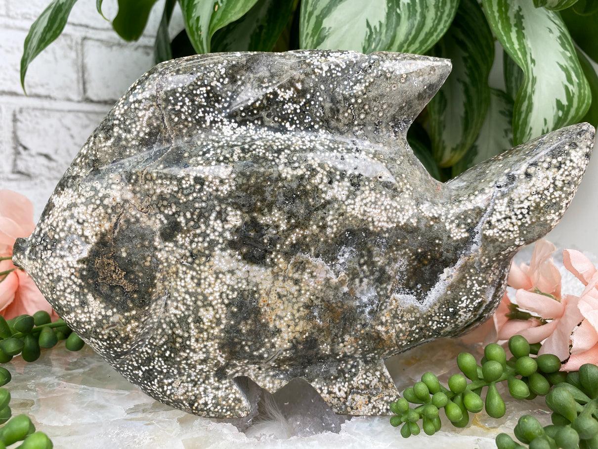 Green-Ocean-Jasper-Fish