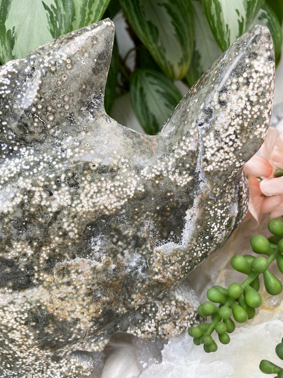 Green-Orbicular-Jasper-Fish