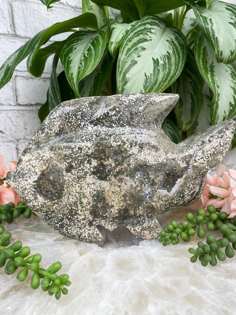 Green-Sea-Jasper-Fish