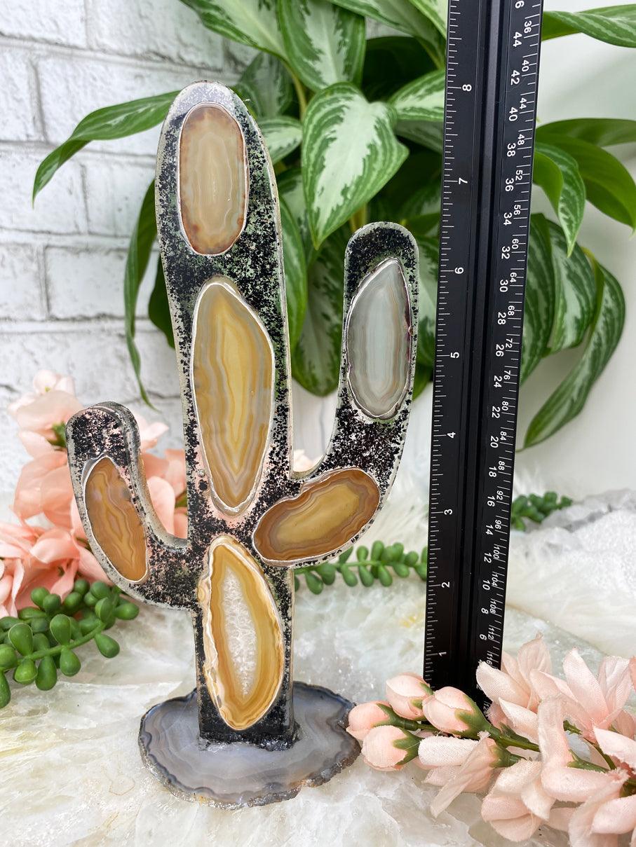 Hematite-Agate-Cactus