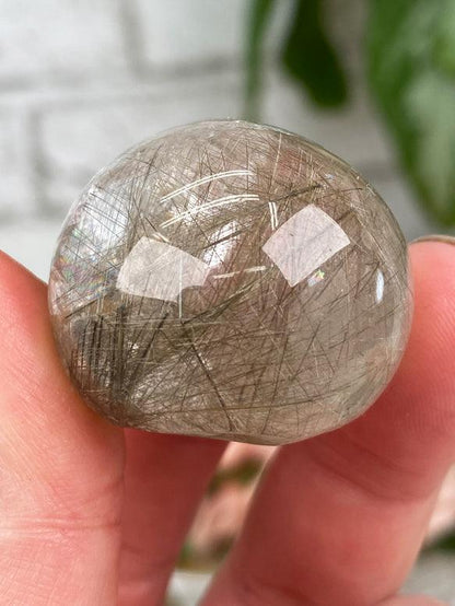 Small Rutile Quartz Lenses