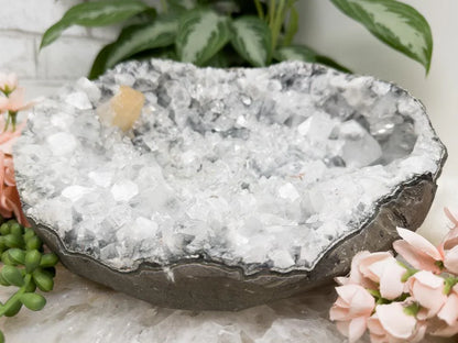 large-apophyllite-geode-crystal