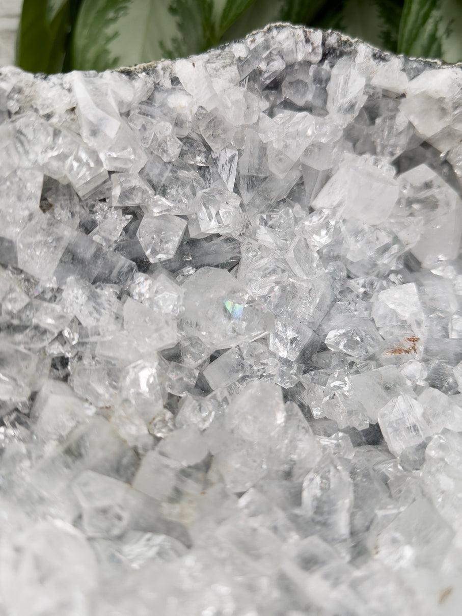 large-white-gray-apophyllite-geode