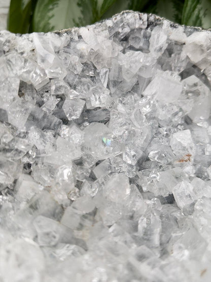 large-white-gray-apophyllite-geode