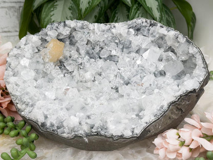 Large Apophyllite Geode