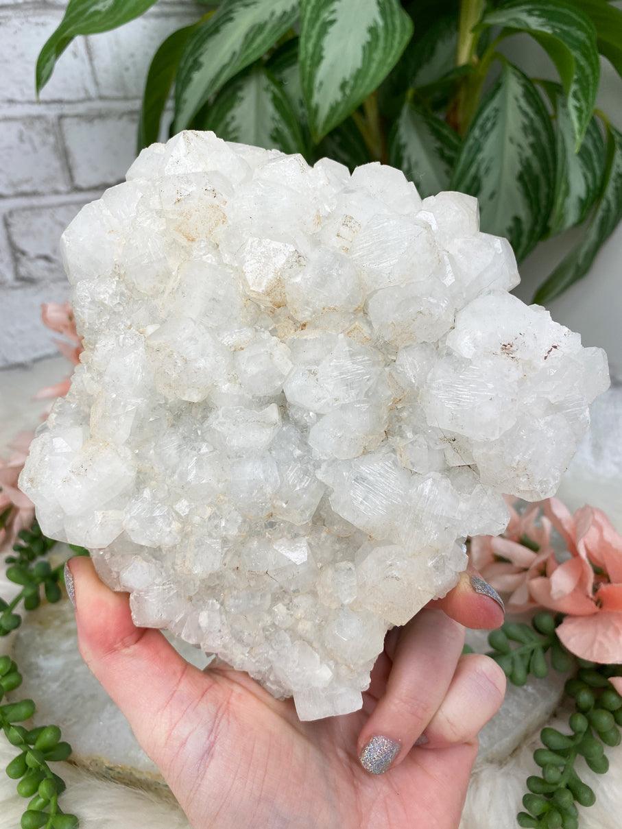 White Apophyllite Clusters