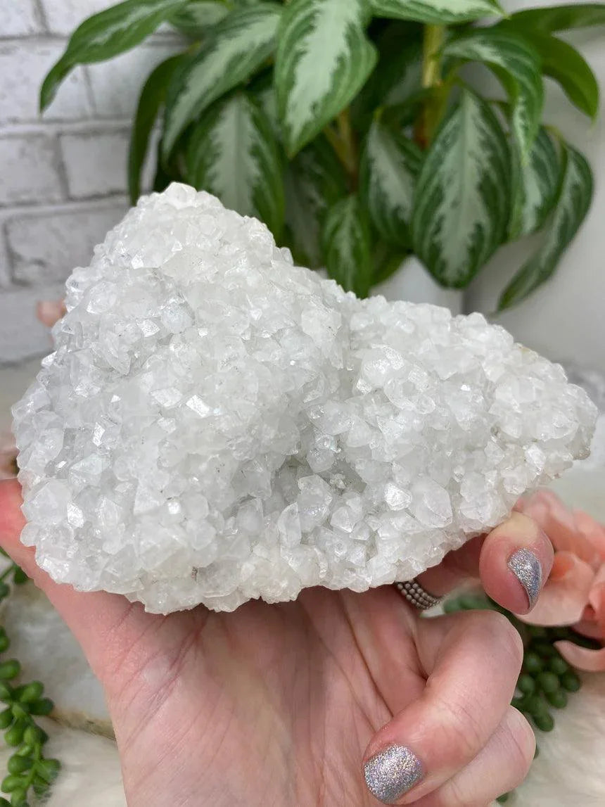White Apophyllite Clusters