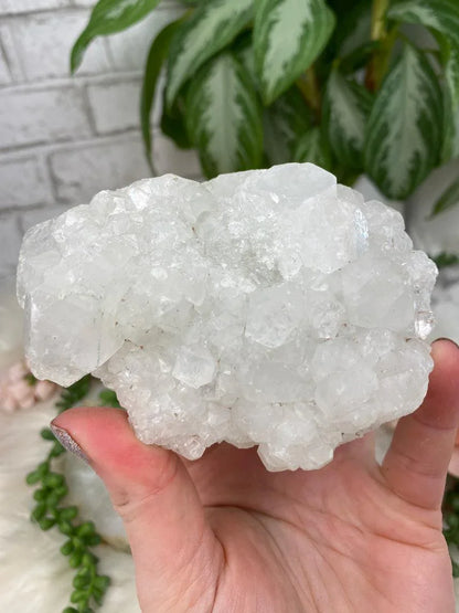 White Apophyllite Clusters
