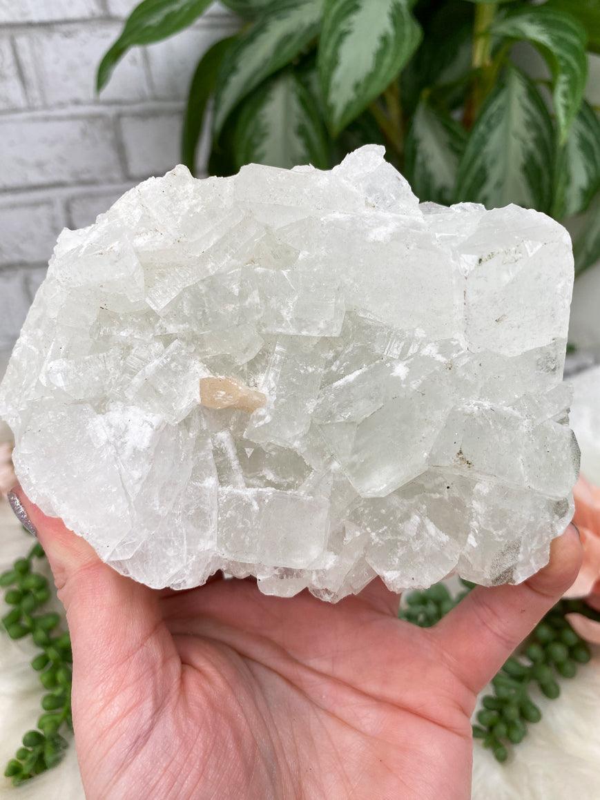 White Apophyllite Clusters