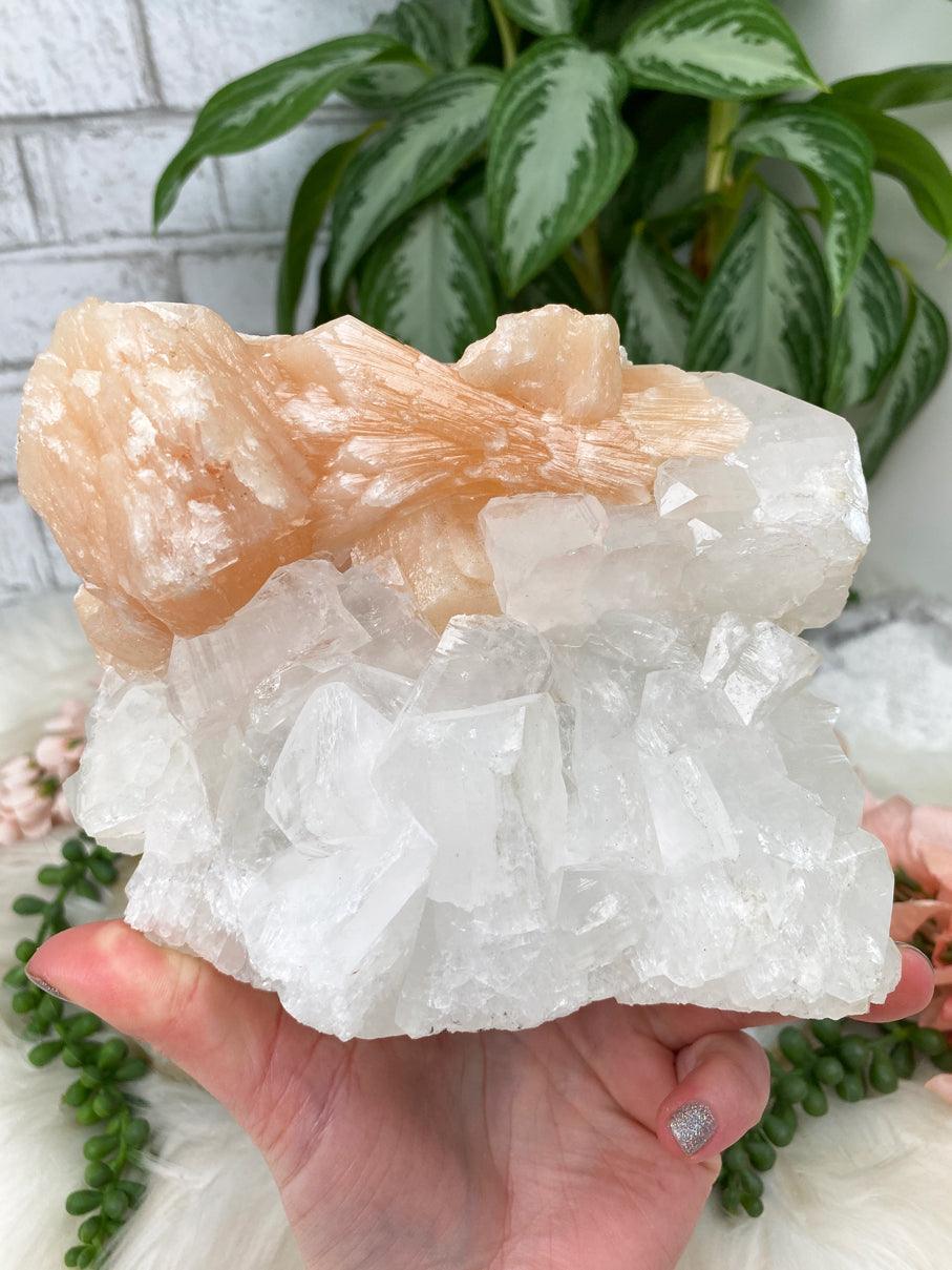 sparkly-apophyllite-on-stilbite