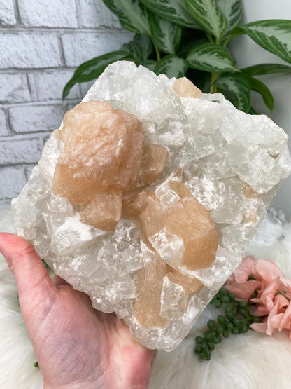 stilbite-apophyllite-mordenite