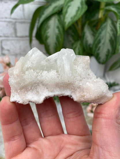Apophyllite Stilbite Mixes