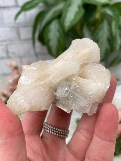 Apophyllite Stilbite Mixes