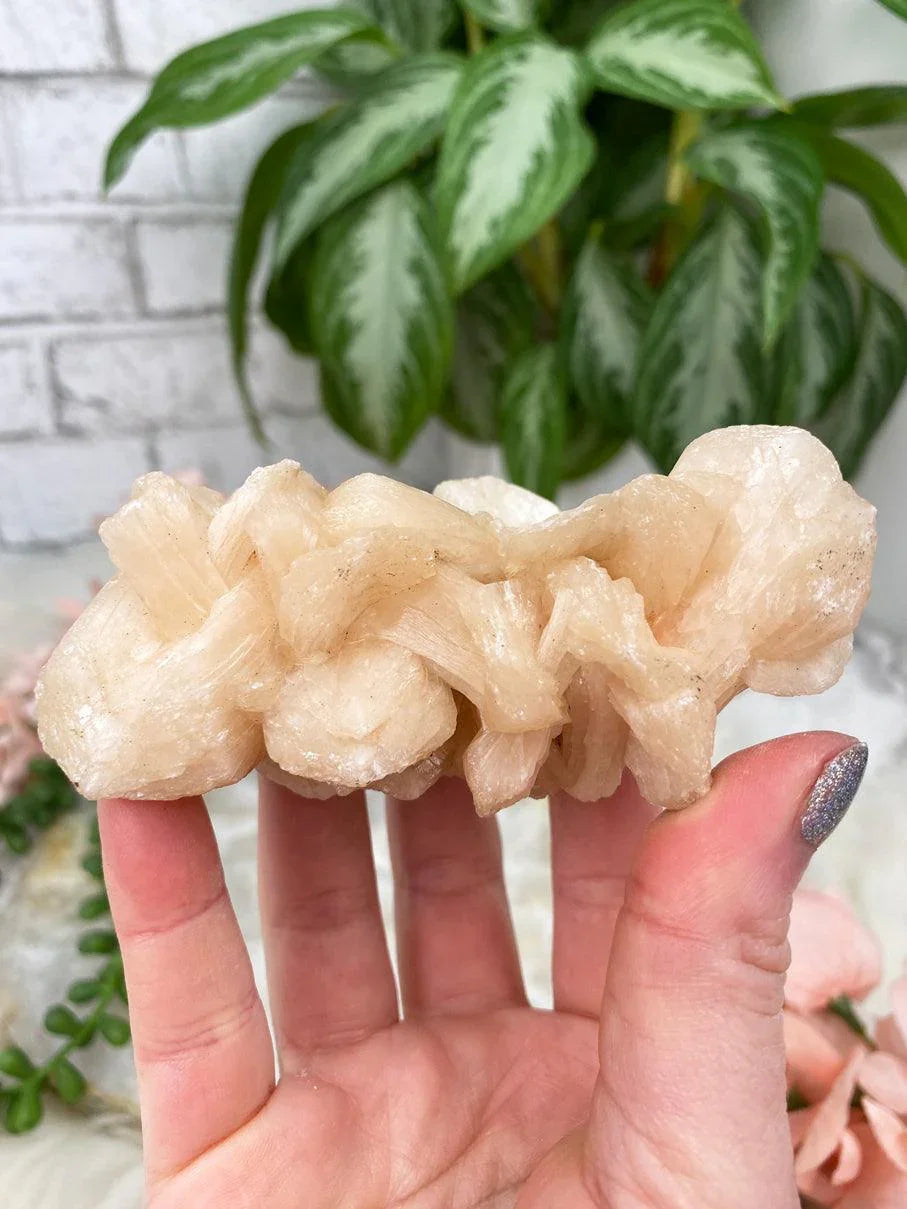 Peach Stilbite & Heulandite