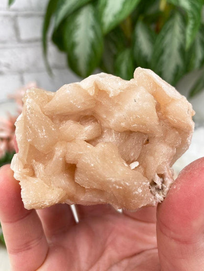 Peach Stilbite & Heulandite