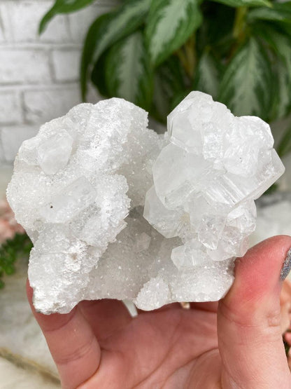 Quartz Stalactite Crystals
