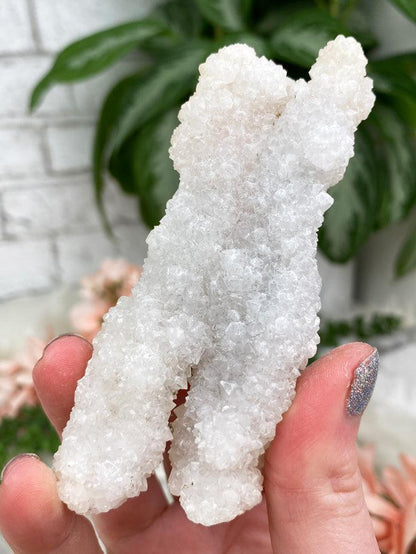 Small Stalactite Crystals