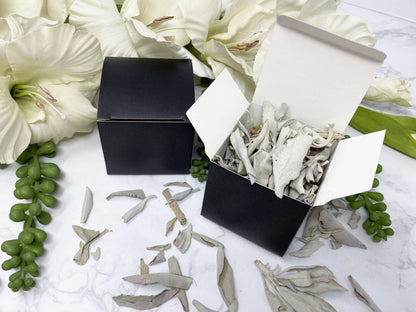 White Sage Smudge Leaves Box