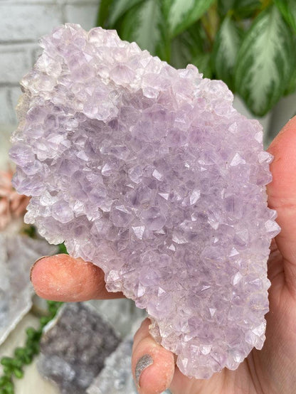 Amethyst Flowers