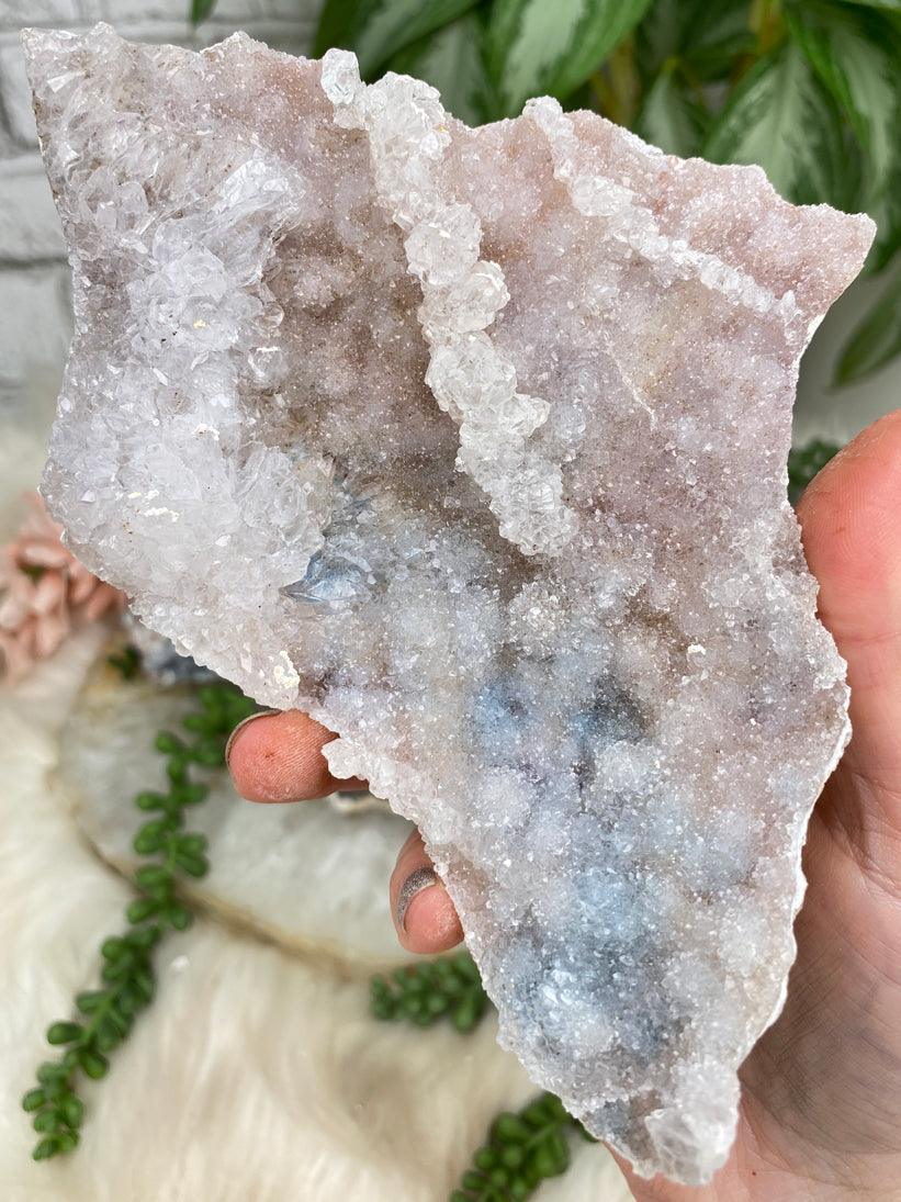 light-amethyst-flower-for-sale