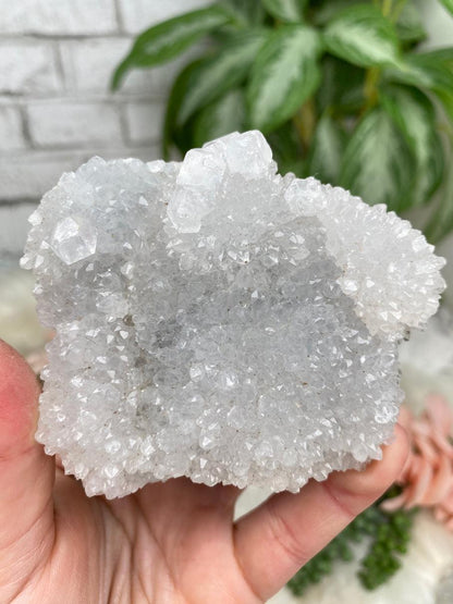 Indian Quartz & Chalcedony