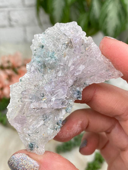 Small Amethyst Flowers