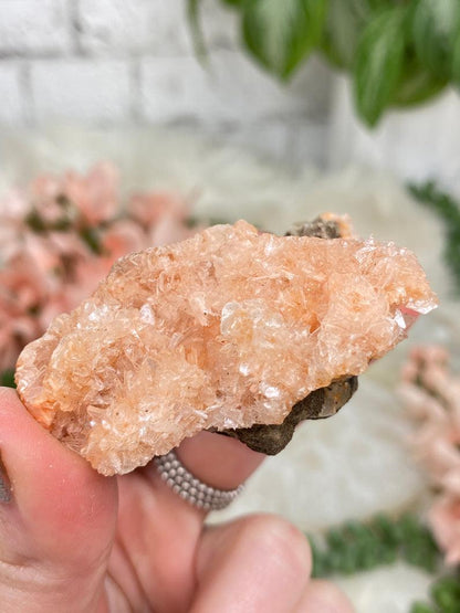 Small Stilbite & Heulandite