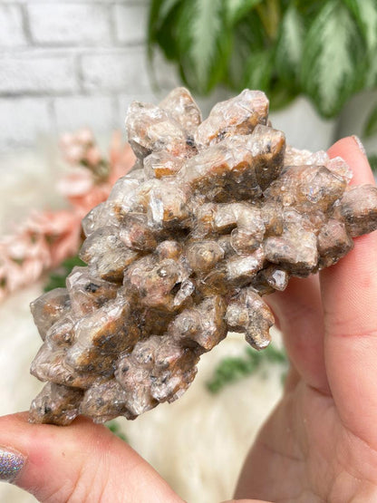 phantom-dogtooth-calcite-cluster