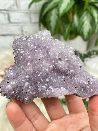 Small Purple Amethyst Clusters