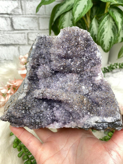 Small Purple Amethyst Clusters