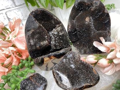 standing-septarian-egg-and-pieces