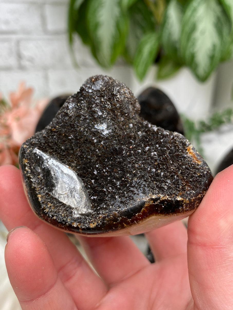 Septarian Eggs & Pieces